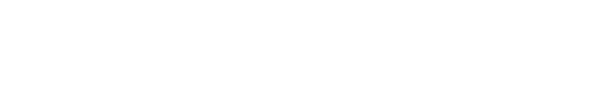 INDAXON